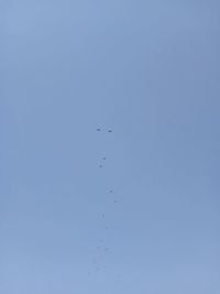 Low angle view of birds flying in sky