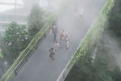 High angle view of people by plants in city