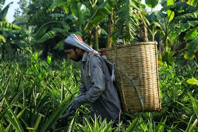 Rear view of man working at farm