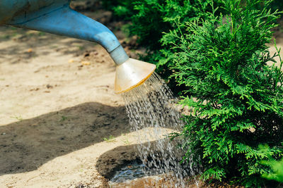 Close-up of water flowing from pipe