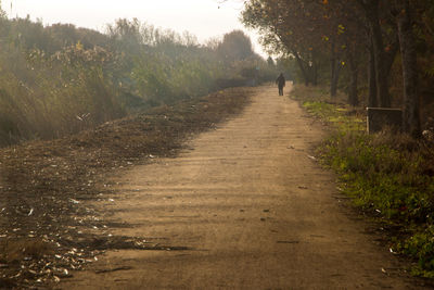 Rear view of person walking on road amidst trees