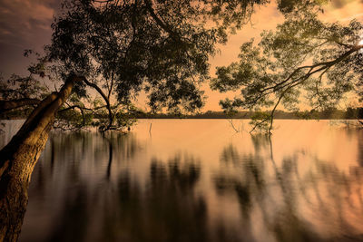 Silhouette trees by lake against sky