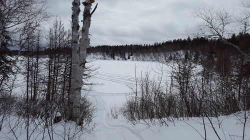 Reflection of trees in lake against sky