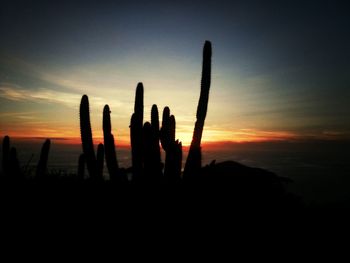 Silhouette of tree against sky at sunset