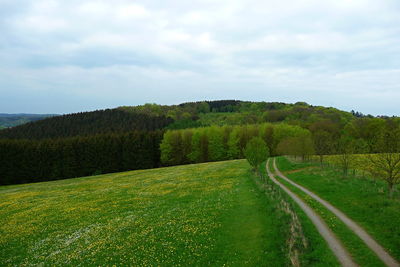 Scenic view of green landscape against sky