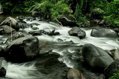 Stream flowing through rocks in forest