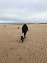 Rear view of woman with dogs on beach