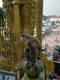 Close-up of monkey statue in city