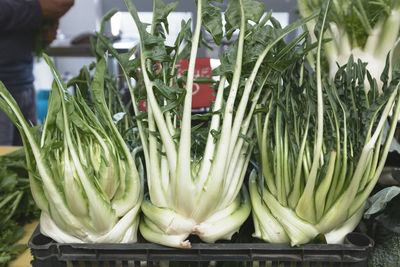 High angle view of vegetables for sale at market stall