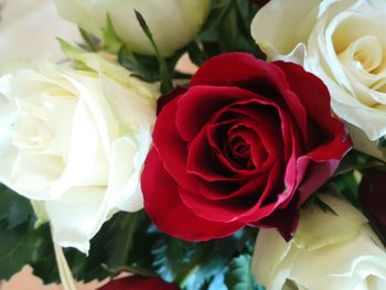 Close-up of rose bouquet