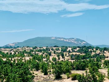 Scenic view of townscape and mountains against sky