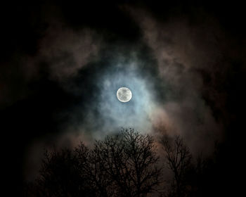 Low angle view of silhouette trees against full moon in sky