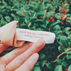 Cropped hand holding fortune cookie with message