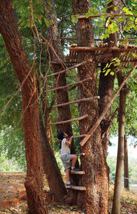 Woman sitting on tree trunk