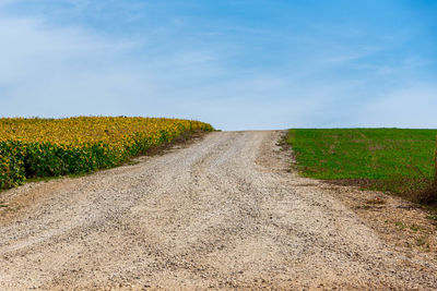 Dirt road amidst field against sky