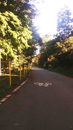 Empty road along trees