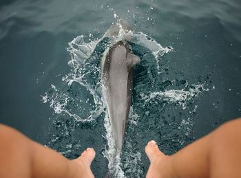 Low section of woman over fish in sea