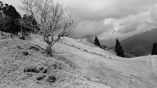 Scenic view of landscape against cloudy sky