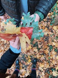 Low section of person holding autumn leaves