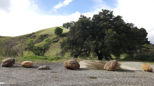 Scenic view of mountain against sky