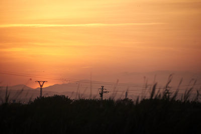 Sunset over the reeds and with birds, oranges, electricity pylons