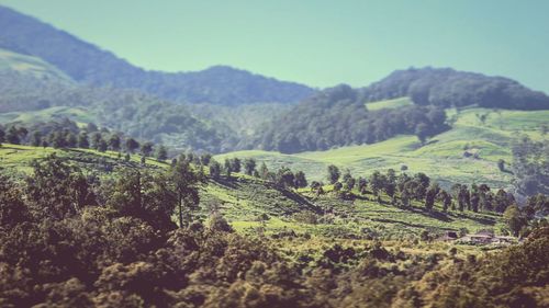 Scenic view of agricultural field against mountains