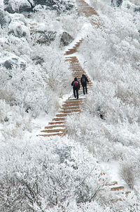 Rear view of people climbing steps on mountain during winter