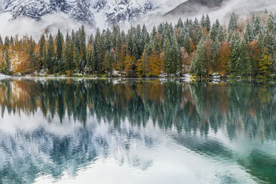 Reflection of trees in lake against sky