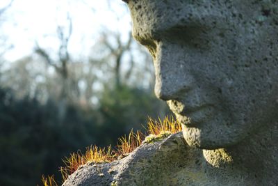 Close-up of statue against blurred background