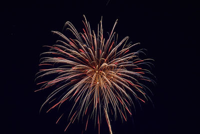 Low angle view of firework display at night