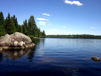 Scenic view of lake in forest against blue sky