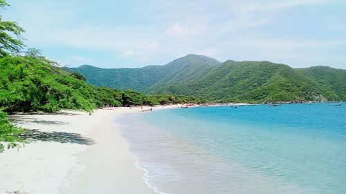 Scenic view of beach