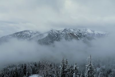 Winter hiking