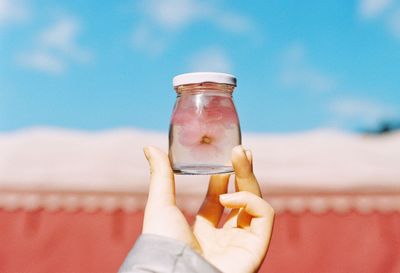 Cropped image of person holding jar against sky