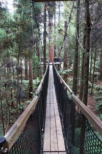 View of footbridge in forest