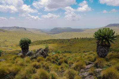 Scenic mountain landscapes against sky at the la satima dragons teeth in the aberdares, kenya