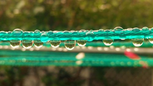 Close-up of raindrops on clothesline