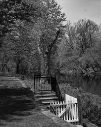 Footbridge over lake in forest