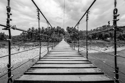 Boardwalk amidst trees against sky