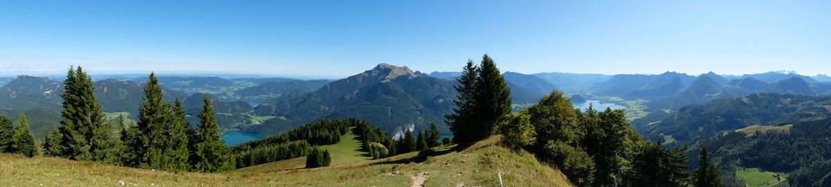 Panoramic view of trees and mountains against clear sky