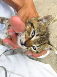 Close-up of man with kitten