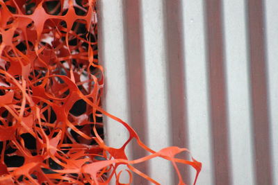 Close-up of orange tangled paper against silver metal