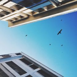 Low angle view of building against blue sky