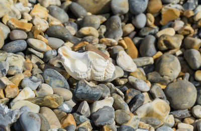 Full frame shot of pebbles