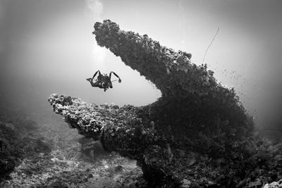 Person snorkeling in ocean