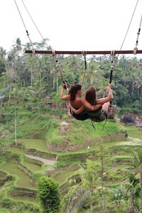 Rear view of woman sitting on swing at playground