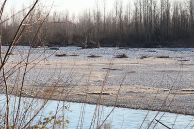 Scenic view of lake in forest during winter