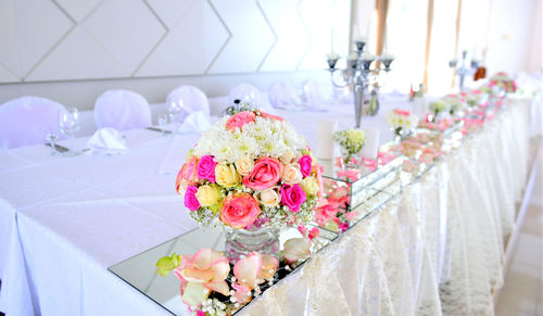 View of pink flowering plants against white wall