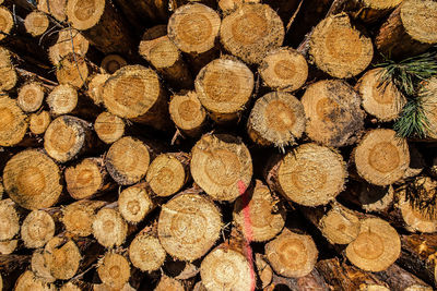 Full frame shot of logs