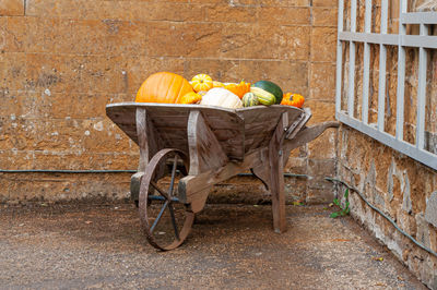Pumpkins and squashes in wheelbarrow in autumn 